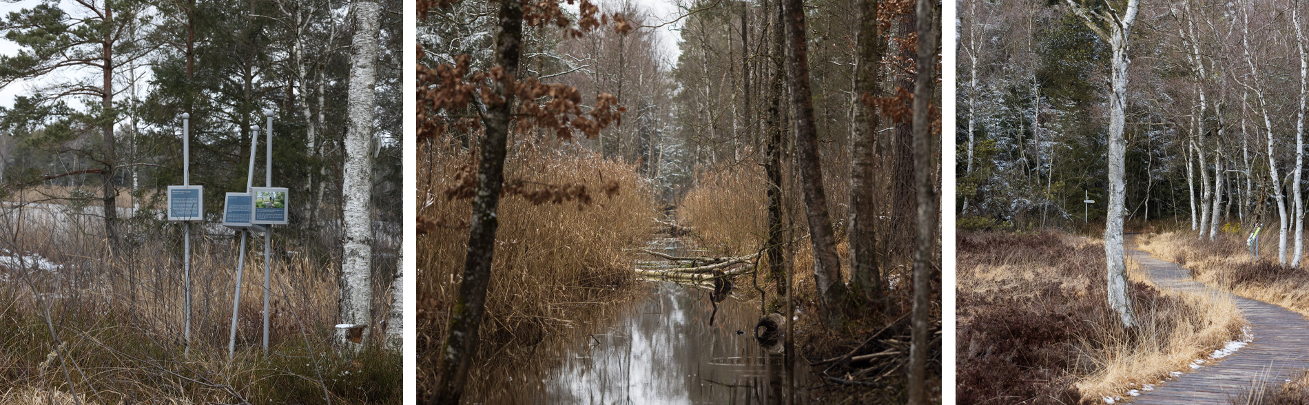 Wurzacher Ried Collage 3